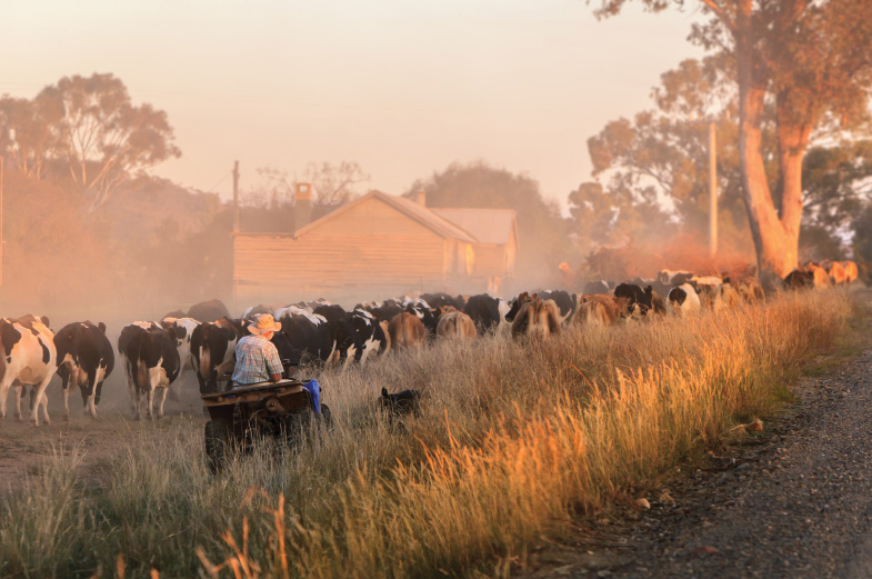 New Lower-Priced Unlimited Data Satellite Plans: A Win for nbn® Sky Muster Customers